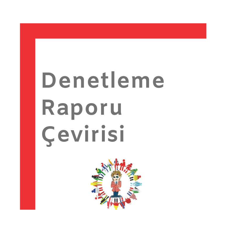 denetlemeraporucevirisi