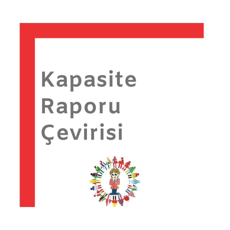 kapasiteraporucevirisi